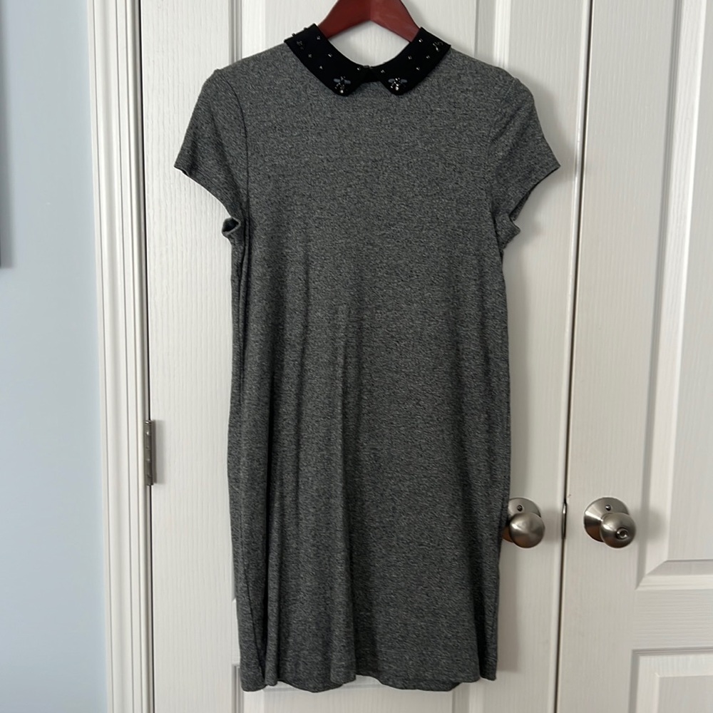 Ann Taylor LOFT Short Sleeve Dress with Embellished Collar - Size Medium